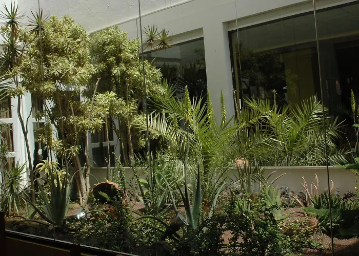 호텔 La Casita Di Fuerte 칼레타데푸스테